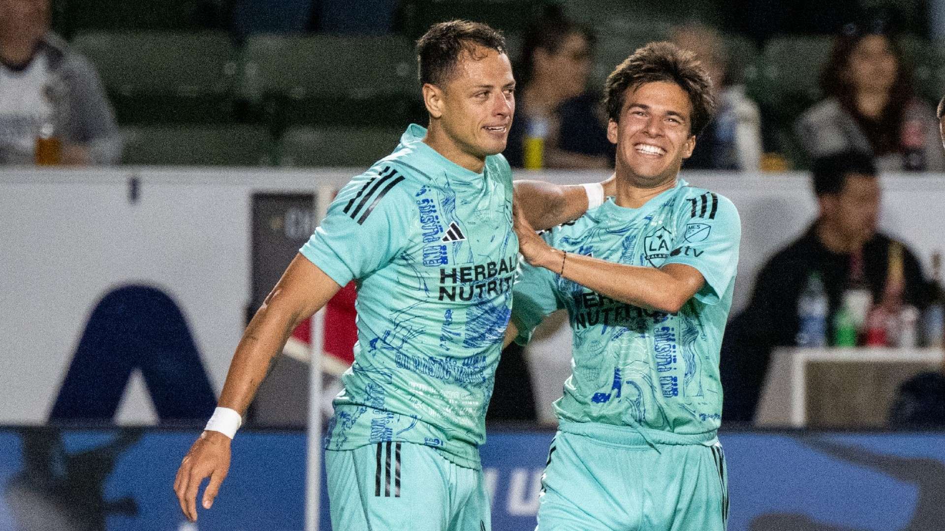 彻底点燃了 彻底点燃了