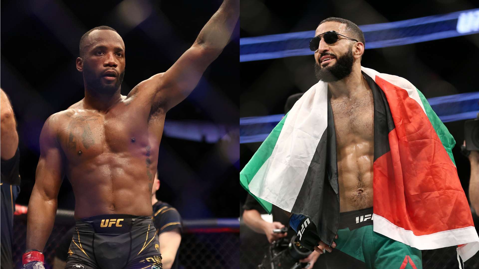 保持稳定的 保持稳定的