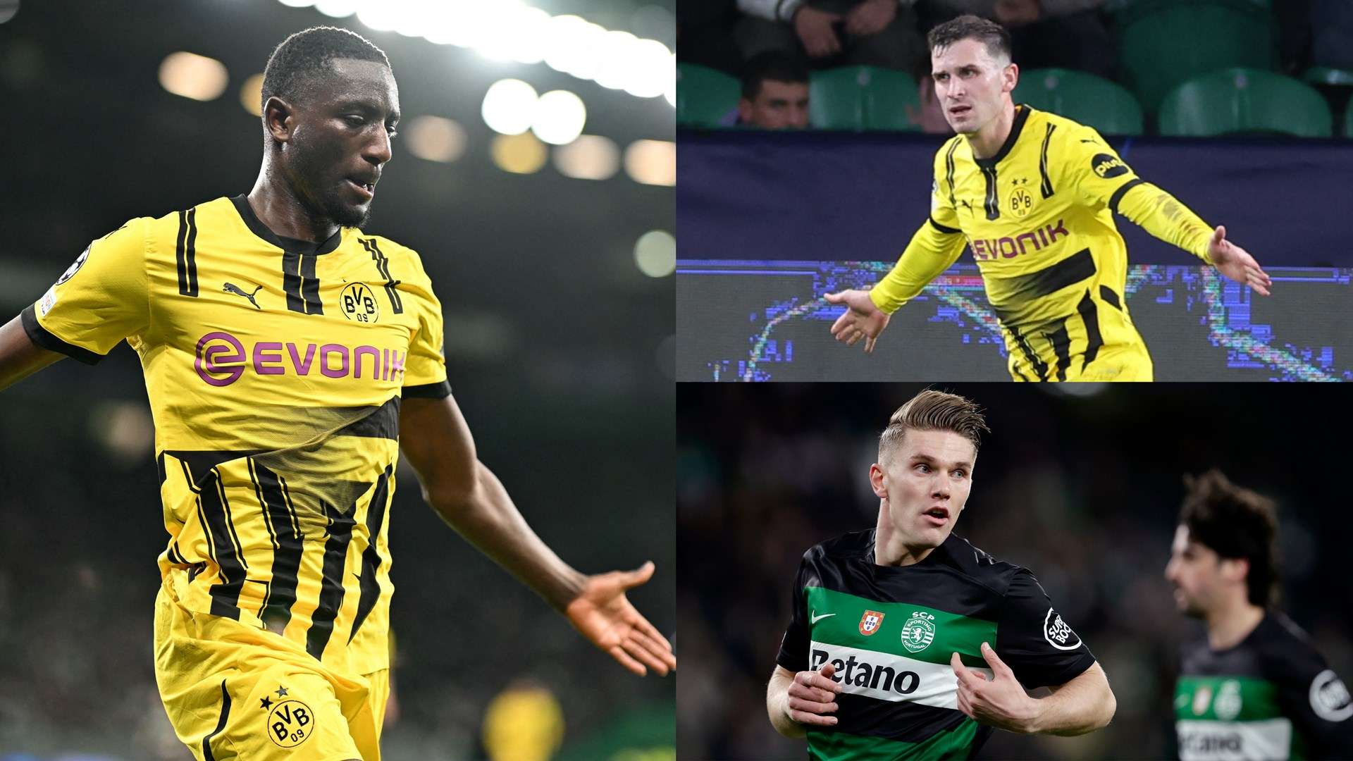 添了更多观 添了更多观